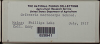 Image Associated With the Occurence